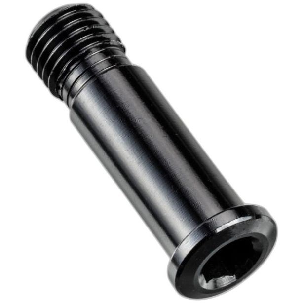 Canyon Screw for Derailleur Hanger No.21