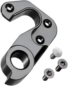 Canyon Derailleur Hanger No. 41