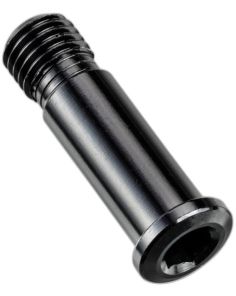 Canyon Screw for Derailleur Hanger No.21