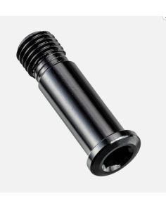 Canyon Screw for Derailleur Hanger No.21