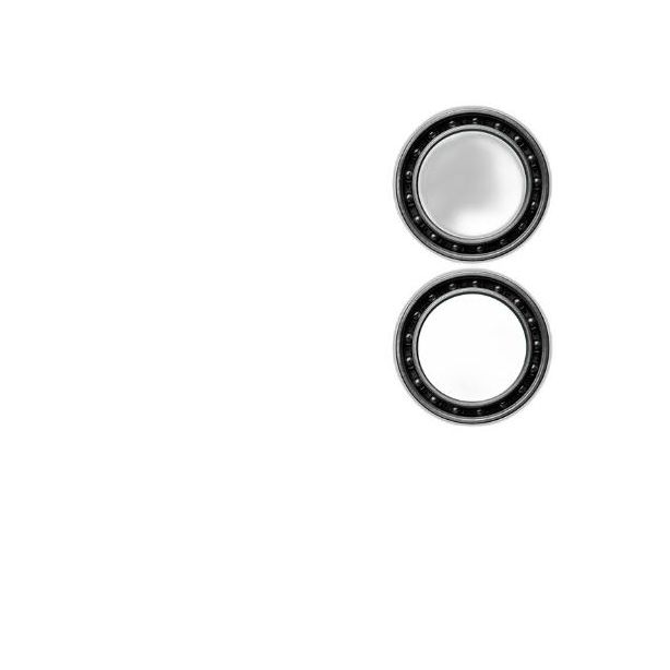 CeramicSpeed BB30 Bearings