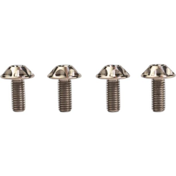 SILCA SICURO SCREWS, GR5 TI, QTY 4