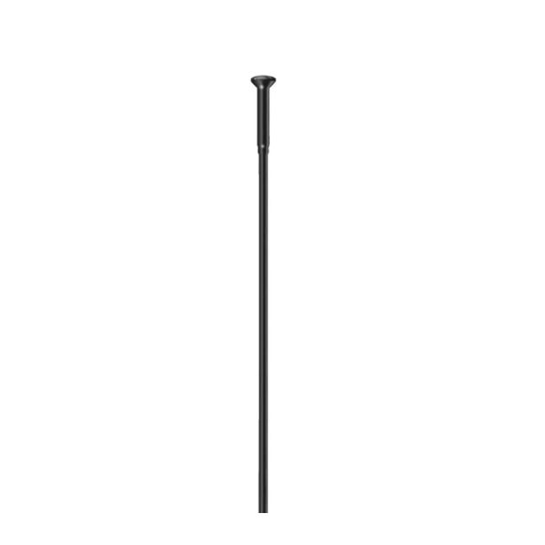 SAPIM RACE/ Straight-Pull/ Black / 240mm