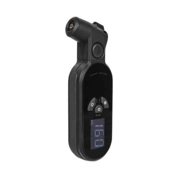 TOPEAK Smart Gauge D2x