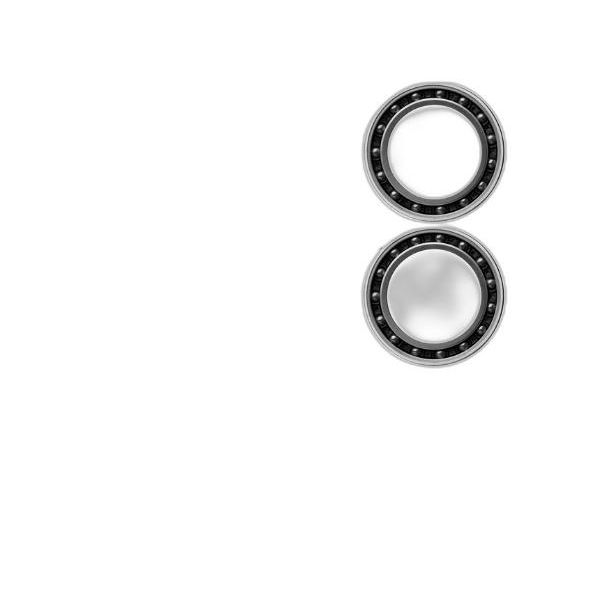 CeramicSpeed Campy UT Bearing kit for PressFit Cups