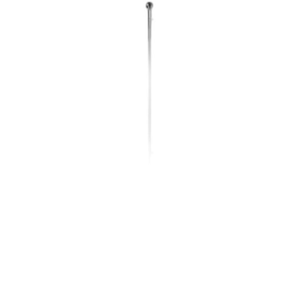 SAPIM RACE/ J-Bend / Silver/ 281mm
