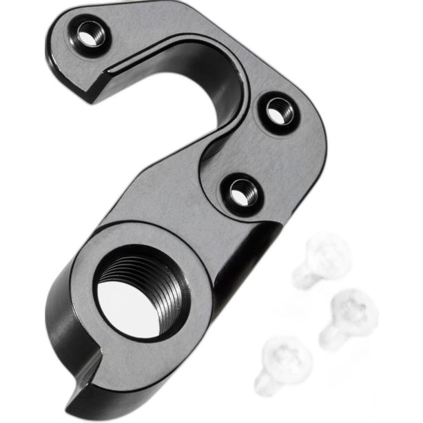 Canyon Derailleur Hanger No. 41